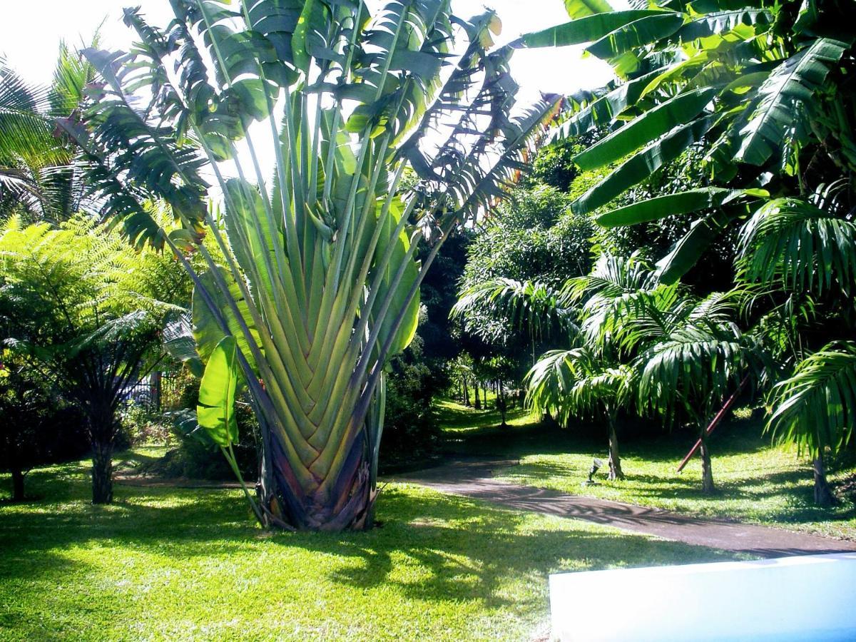 Villa Arbre Du Voyageur, 4 Etoiles Et 4 Clevacances Entre-Deux Luaran gambar